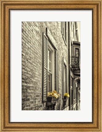 Framed Window Boxes Print