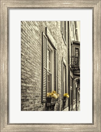 Framed Window Boxes Print