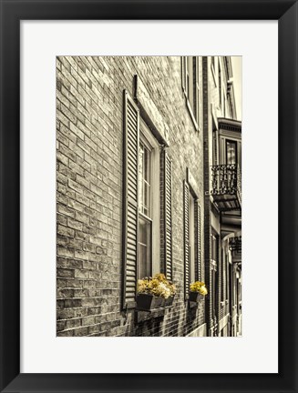 Framed Window Boxes Print