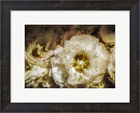 Framed White Flowers Print