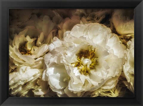 Framed White Flowers Print