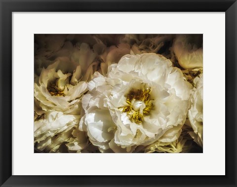 Framed White Flowers Print