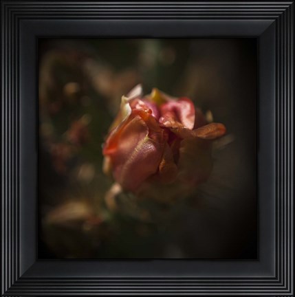 Framed Delicate Print