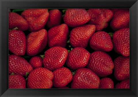 Framed Strawberries Print