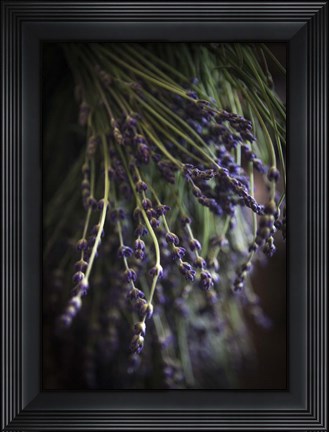 Framed Purple Buds Print