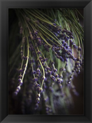 Framed Purple Buds Print