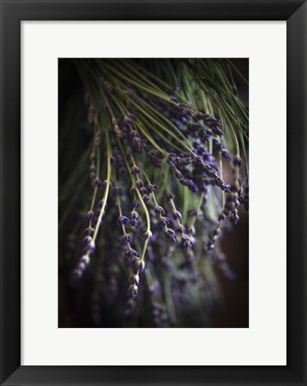 Framed Purple Buds Print