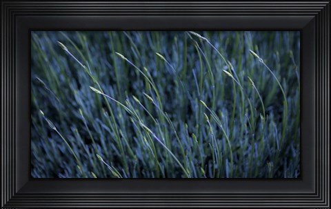 Framed Leaning to the Left Print