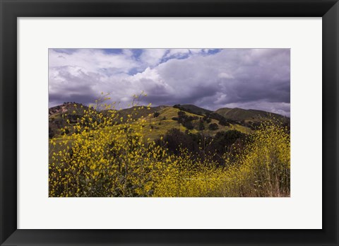 Framed Rolling Hills Print