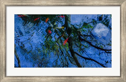 Framed Fish Pond Print