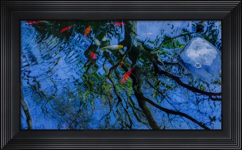 Framed Fish Pond Print
