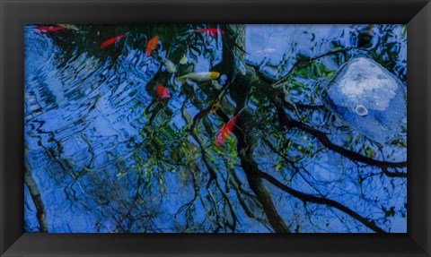 Framed Fish Pond Print