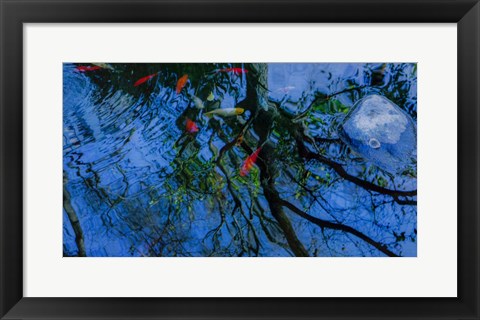 Framed Fish Pond Print