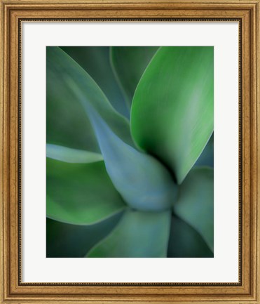 Framed Green Floral Print