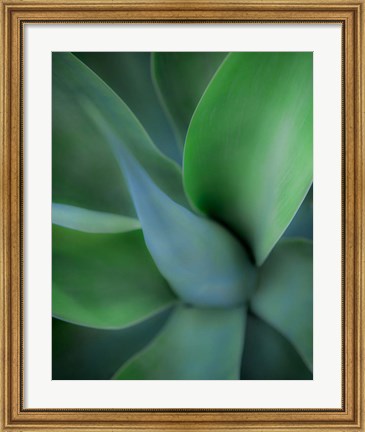 Framed Green Floral Print