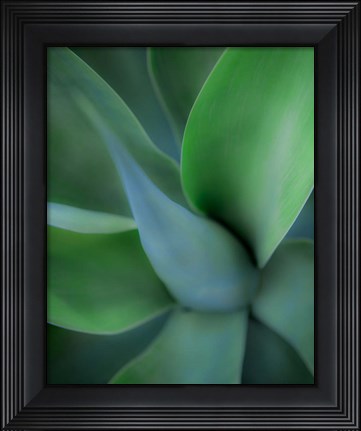 Framed Green Floral Print