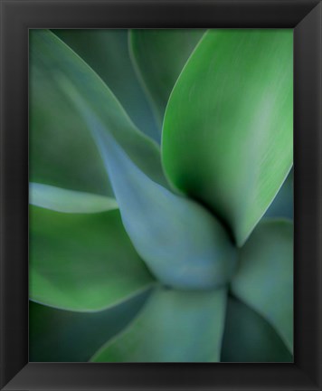 Framed Green Floral Print