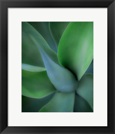 Framed Green Floral Print