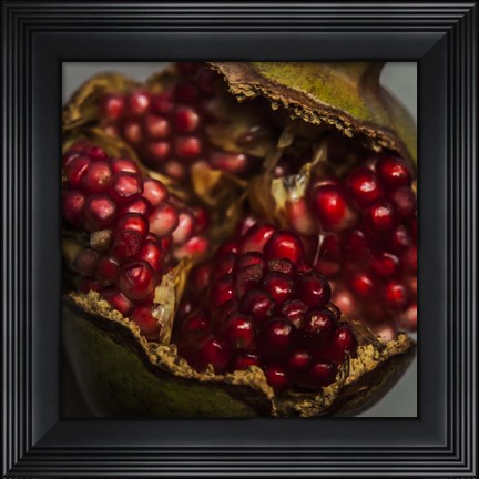 Framed Pomegranate Print
