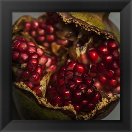 Framed Pomegranate Print