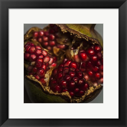 Framed Pomegranate Print