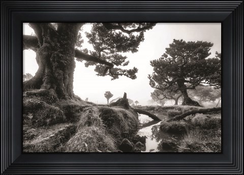 Framed Black &amp; White Fanal Print