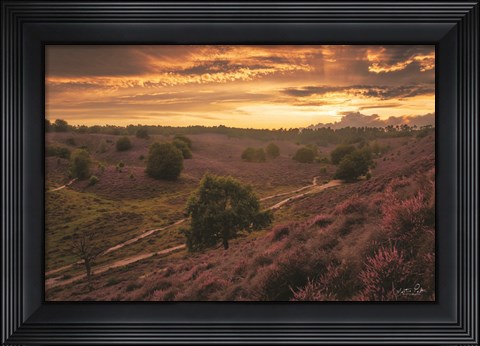 Framed Just a Sunset in the Netherlands Print