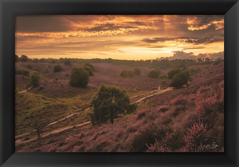 Framed Just a Sunset in the Netherlands Print