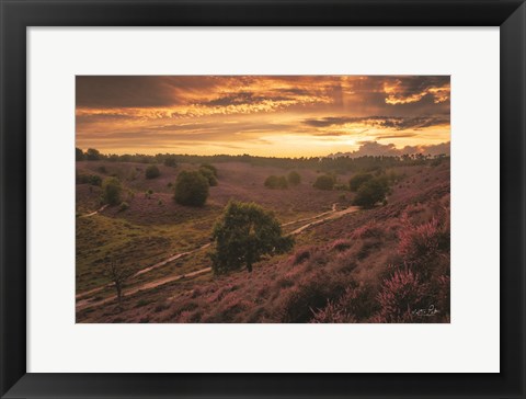 Framed Just a Sunset in the Netherlands Print