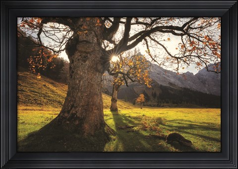 Framed Star Print