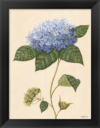 Framed Blue Hydrangea Print