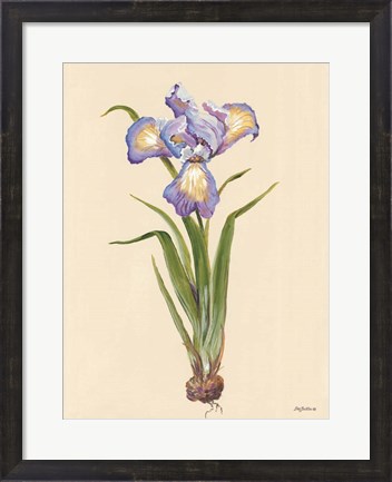 Framed Blue Iris Print