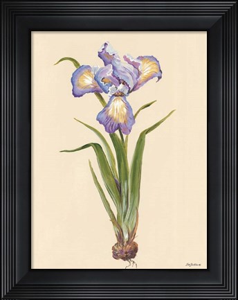 Framed Blue Iris Print