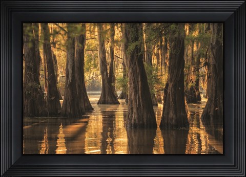 Framed Natural Beauty Print
