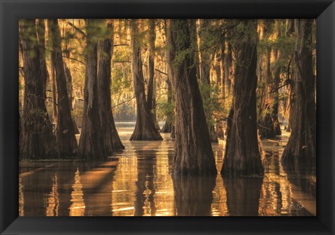 Framed Natural Beauty Print