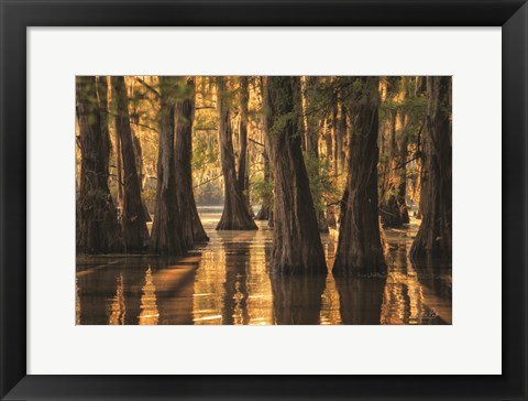 Framed Natural Beauty Print