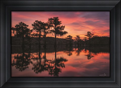 Framed Swamp on Fire Print