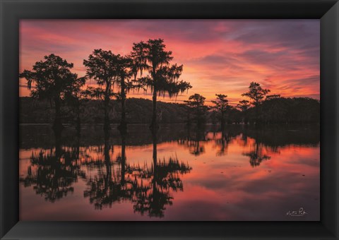 Framed Swamp on Fire Print