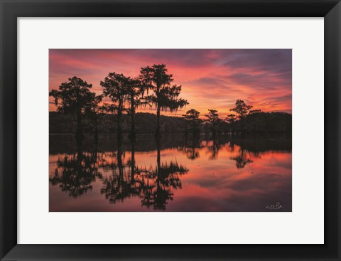 Framed Swamp on Fire Print