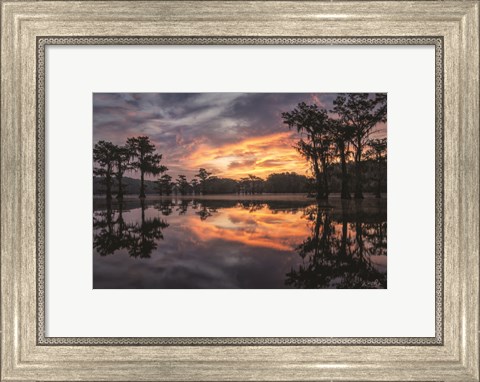 Framed Sunrise in the Swamps Print
