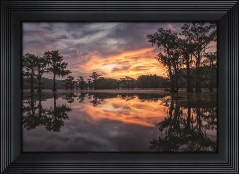 Framed Sunrise in the Swamps Print