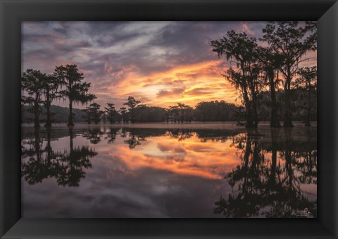 Framed Sunrise in the Swamps Print