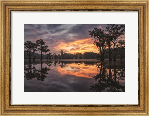 Framed Sunrise in the Swamps Print