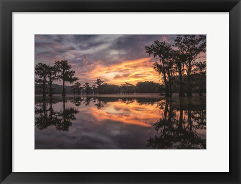 Framed Sunrise in the Swamps Print