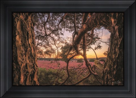 Framed In Between Print