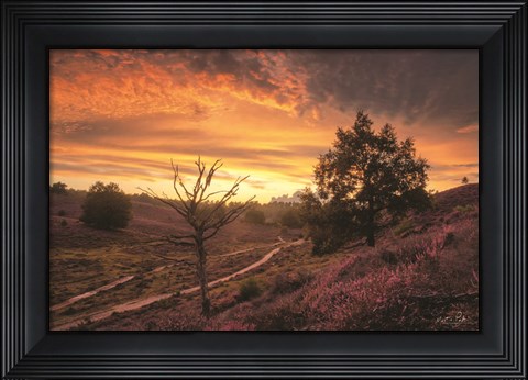 Framed Dead Tree at Sunset Print