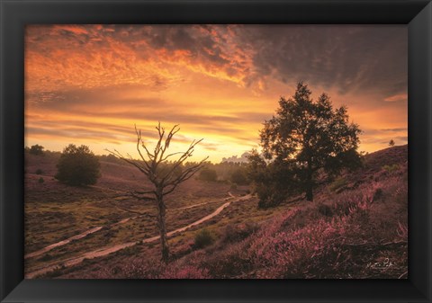 Framed Dead Tree at Sunset Print