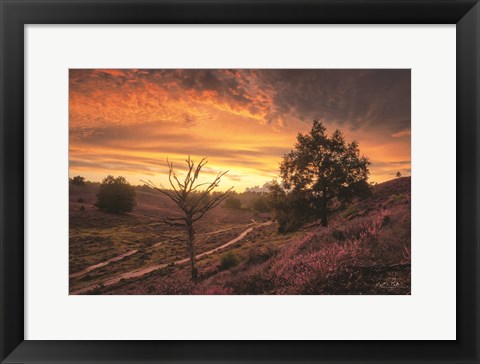 Framed Dead Tree at Sunset Print