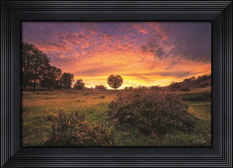 Framed From the Netherlands with Love Print
