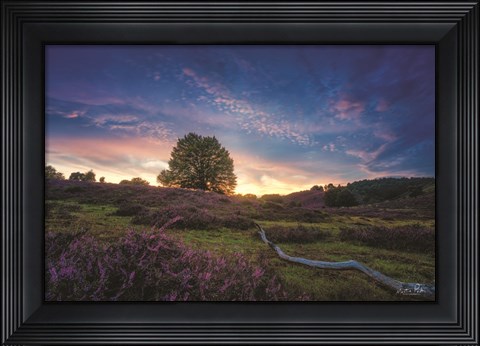 Framed Blue Hour Print